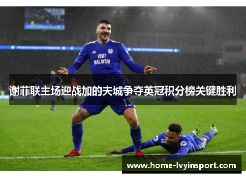 谢菲联主场迎战加的夫城争夺英冠积分榜关键胜利